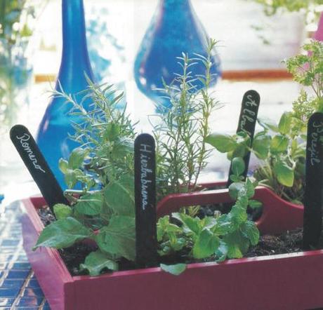 La huerta en casa. Imagen