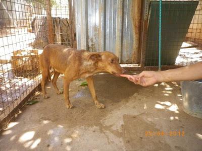 Durante cinco años pariendo en la calle. (Gran Familia)