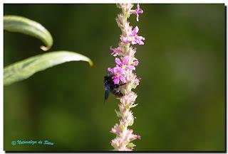 De paseo por Salamanca