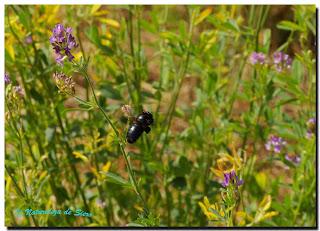 De paseo por Salamanca