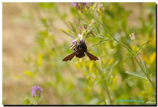 De paseo por Salamanca