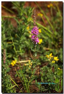 De paseo por Salamanca