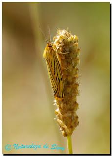 De paseo por Salamanca