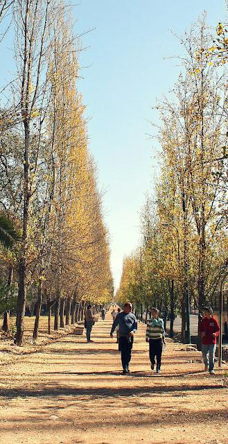 Parque San Martín: el pulmón de la ciudad