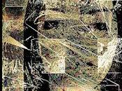 gatos Santa Felicitas