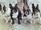 Visita exposición Bulli Palau Robert