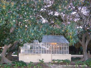 Actividades para niños y en familia: Del 24 al 26 de agosto de 2012