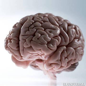 Ejercicios para preservar la memoria