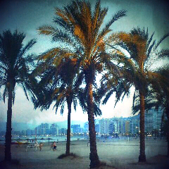 Crónicas marinas (7): Álex.