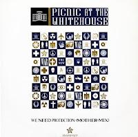 PICNIC AT THE WHITEHOUSE - WE NEED PROTECCION (MOTHER MIX)