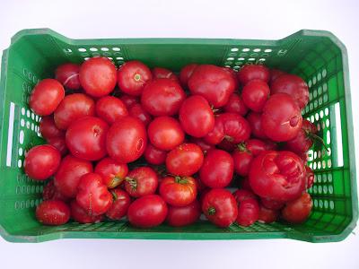 Hoy conseguí un excelente paso a paso de como conservar los tomates bien maduros.
