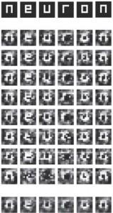 Neuroimagen (III): Resonancia magnética, funcional y Conectoma