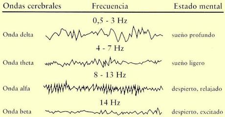 Neuroimagen (II): Electrodos intracraneales y electroencefalograma