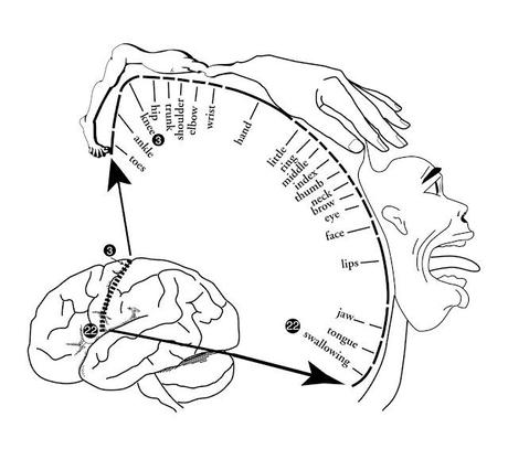 Neuroimagen (II): Electrodos intracraneales y electroencefalograma