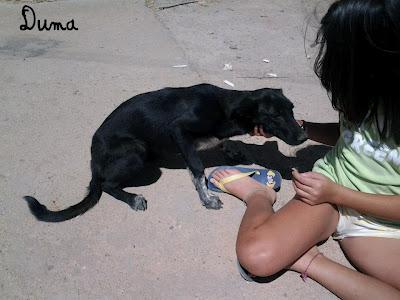 SU DUEÑA SE HA IDO DEJÁNDOLOS ENCERRADOS. (CÓRDOBA)