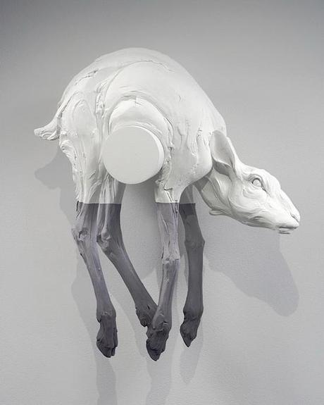 Crisis de la no democracia