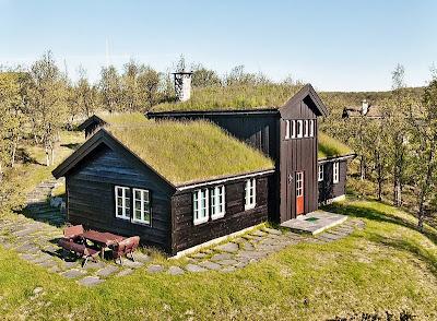 Techos Verdes en Noruega