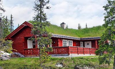 Techos Verdes en Noruega