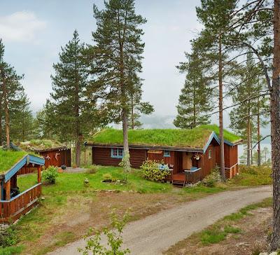 Techos Verdes en Noruega