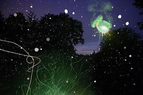 Before the Echo - Lisa DiLillo