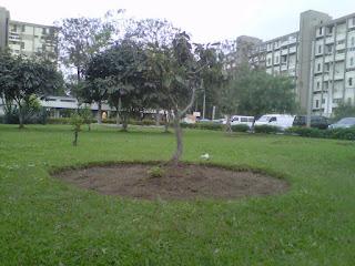 Dia 37: Cantando con Munani