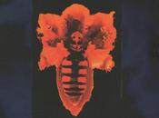 Kirchohmfeld kirchohmfeld