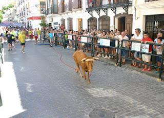 CARCABUEY VUELVE A VIBRAR CON EL TORO DE CUERDA