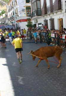 CARCABUEY VUELVE A VIBRAR CON EL TORO DE CUERDA