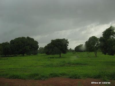 229. Entrevista trabajadora Humanitaria