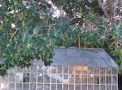 Actividades para niños familia: agosto septiembre 2012