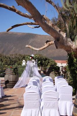 Implicadas hasta el último detalle