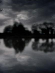 Lo importante,

ya no interesa,

no es vital,

es pereced...