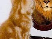 Artículo Código Penal: delito contra seguridad trabajadores