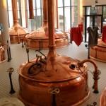 t shirt algodon organico