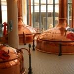 estrella damm medwinds