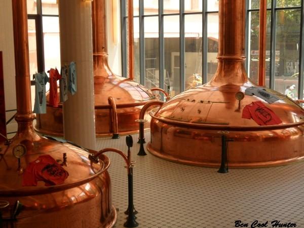 Estrella Damm y Medwinds juntos por la conservación de la Sierra de Tramuntana