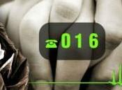 mujeres asesinadas este