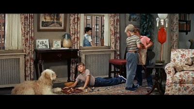 No os comáis las margaritas