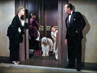 No os comáis las margaritas