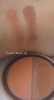 Rostro Coloretes y Polvos