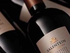 nuevo Salentein: Single Vineyards