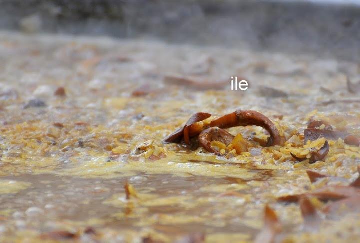 Buenos Aires celebra Pais Vasco