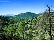 Ayer verde jardín Edén...