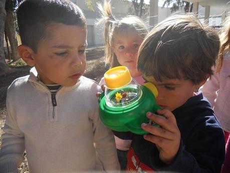 niños y lupa Niños mirando insectos con la lupa