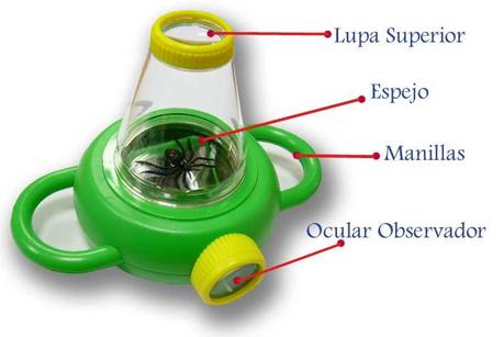 lupa para niños Lupas de observación para niños