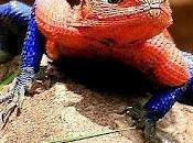 Running 2012... 32/33/34: 191,18 veraniegos...