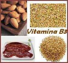 La Vitamina B3 mejora el Sistema Inmunologico