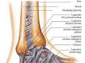 Ejercicios para estirar tobillo