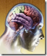 La mente y consciencia, funcionando en alguna parte del cerebro humano