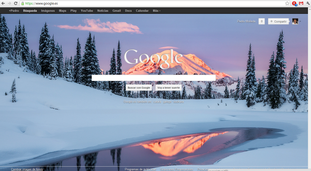 Personaliza la página de Google